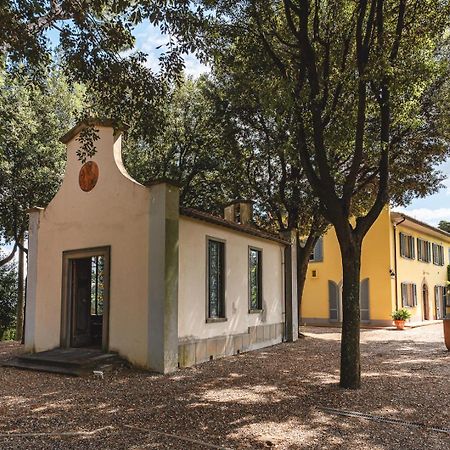 Apartament Fattoria Laviosa Fauglia Zewnętrze zdjęcie