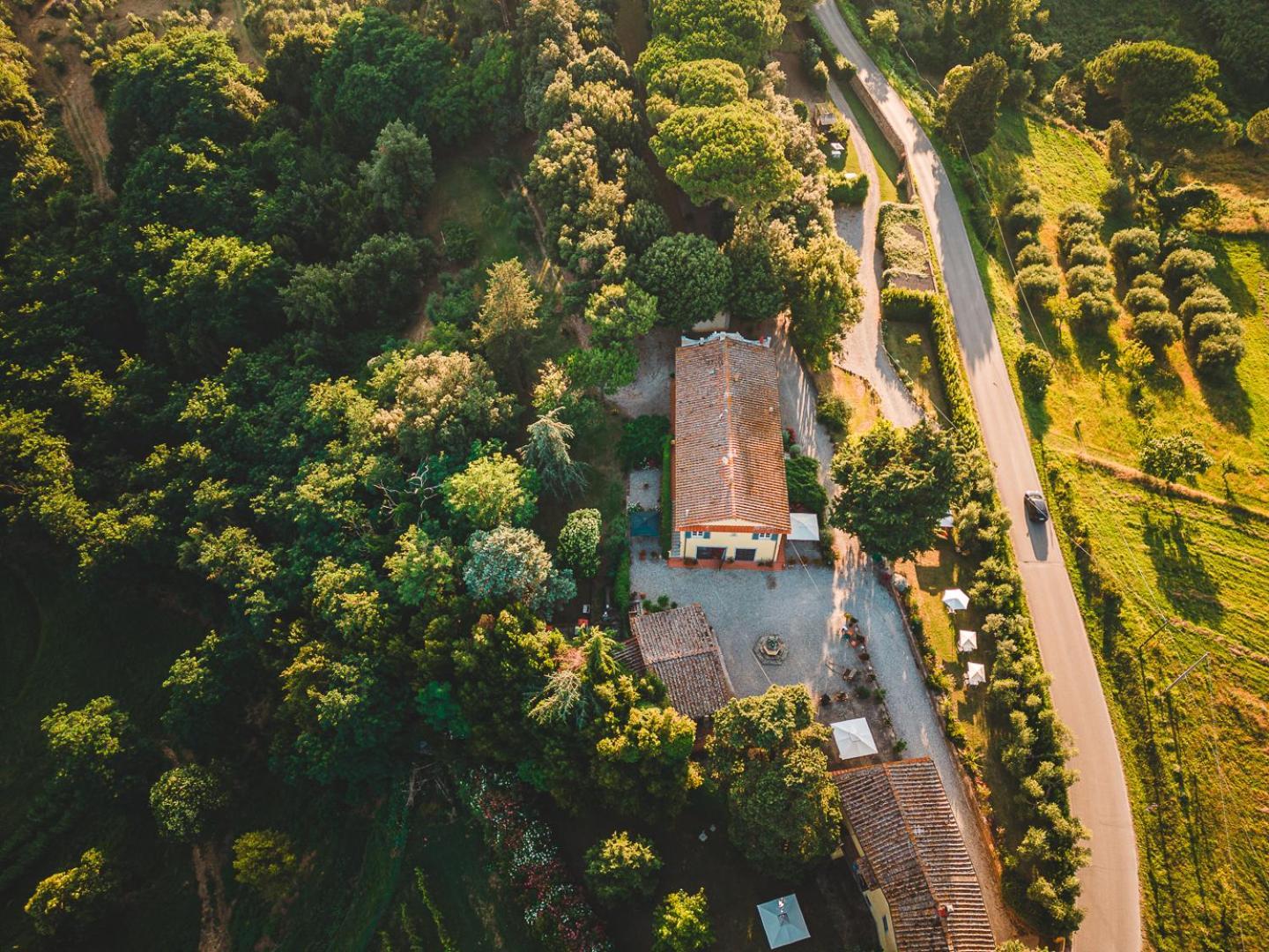 Apartament Fattoria Laviosa Fauglia Zewnętrze zdjęcie