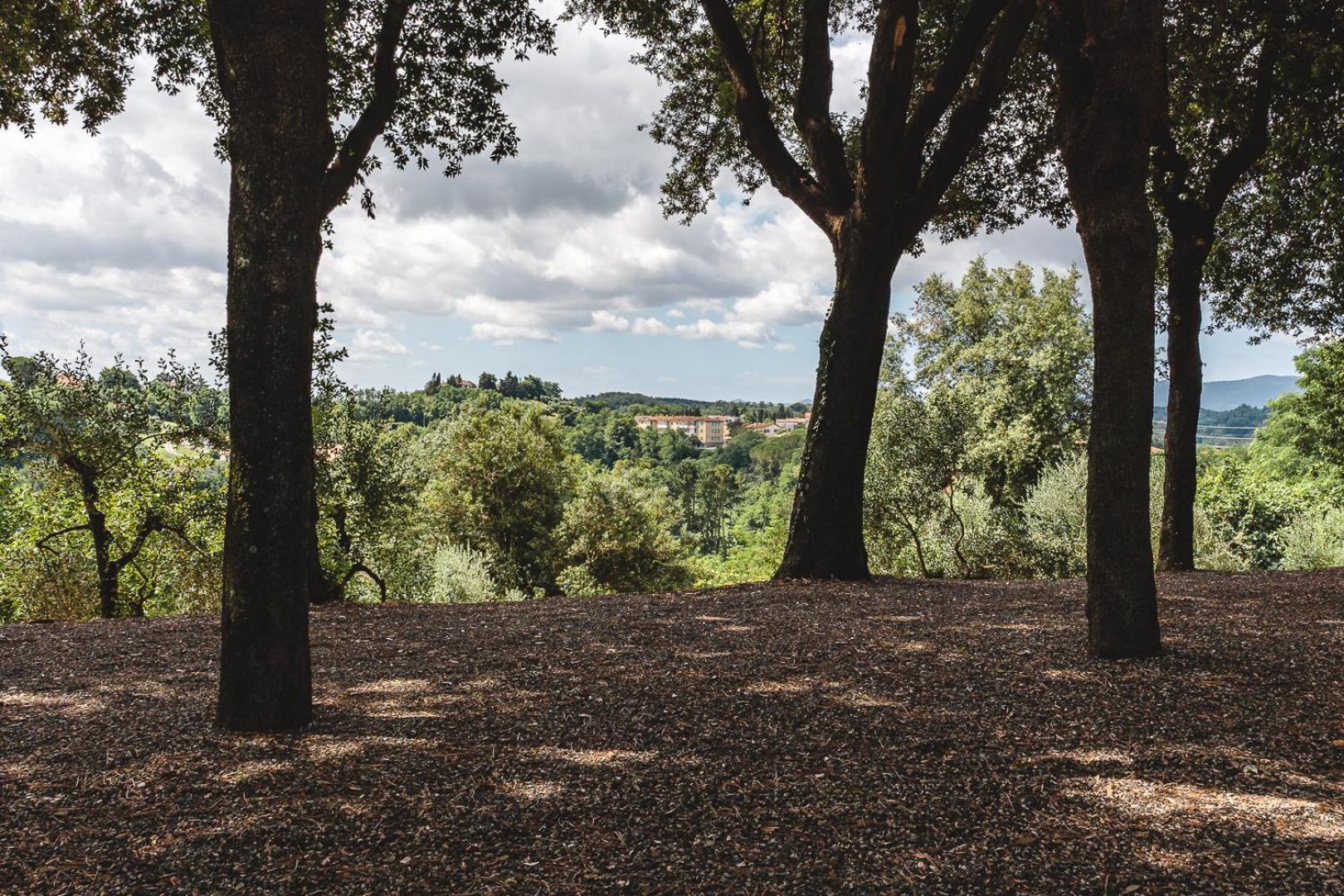 Apartament Fattoria Laviosa Fauglia Zewnętrze zdjęcie